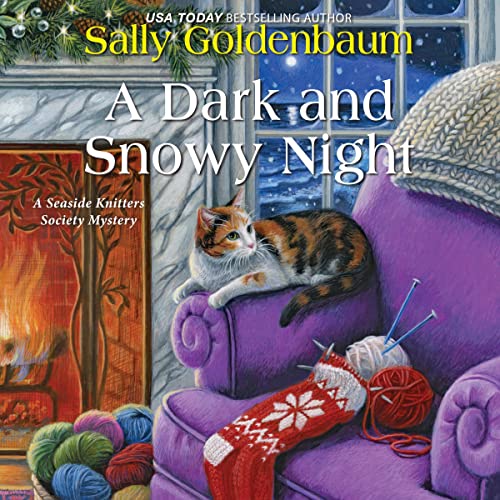 A Dark and Snowy Night Audiolibro Por Sally Goldenbaum arte de portada