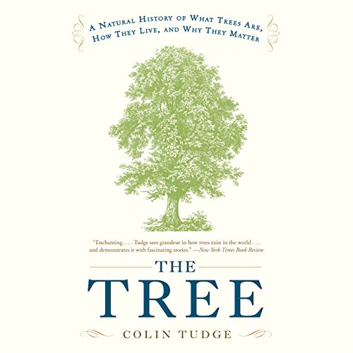 The Tree cover art