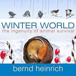 Winter World Audiobook By Bernd Heinrich cover art