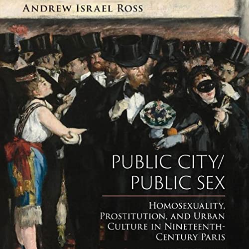 Public City/Public Sex Audiobook By Andrew Israel Ross cover art