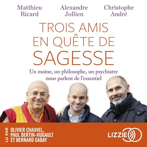 Trois amis en quête de sagesse cover art