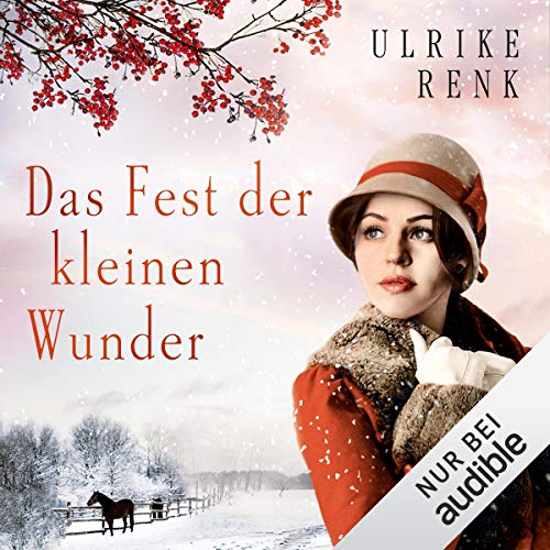 Das Fest der kleinen Wunder cover art