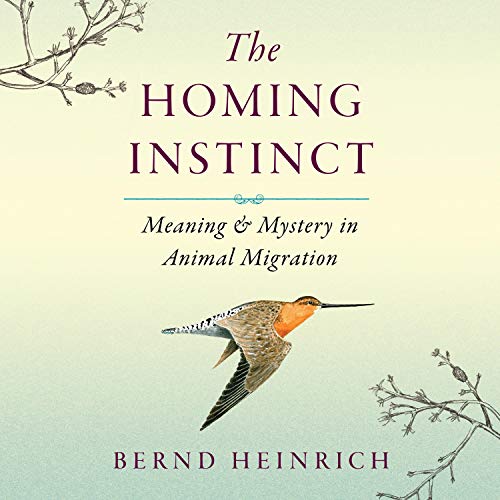 The Homing Instinct Audiolibro Por Bernd Heinrich arte de portada