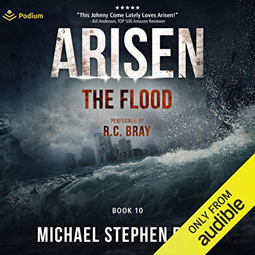 The Flood Audiobook By Michael Stephen Fuchs cover art