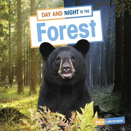 Day and Night in the Forest copertina