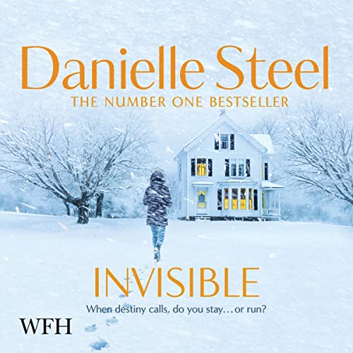 Invisible cover art