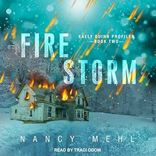 Fire Storm Audiolibro Por Nancy Mehl arte de portada