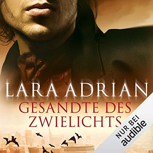 Couverture de Gesandte des Zwielichts