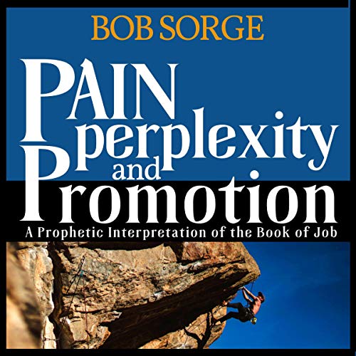 Pain, Perplexity & Promotion Audiolibro Por Bob Sorge arte de portada