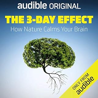 The 3-Day Effect cover art