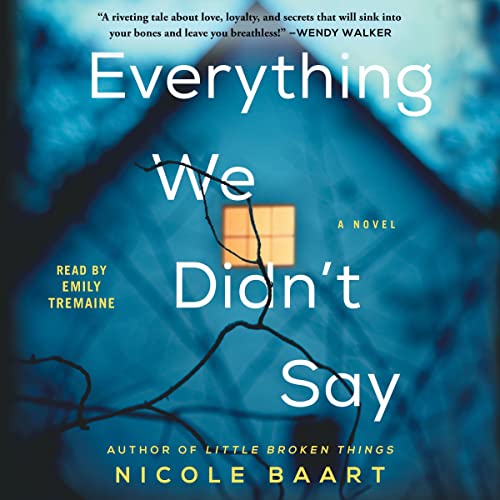 Everything We Didn't Say Audiolivro Por Nicole Baart capa