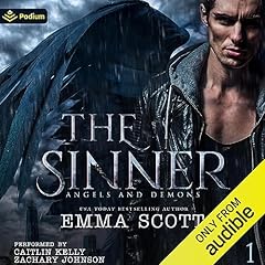 The Sinner cover art