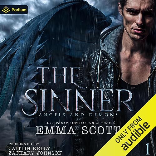 The Sinner cover art