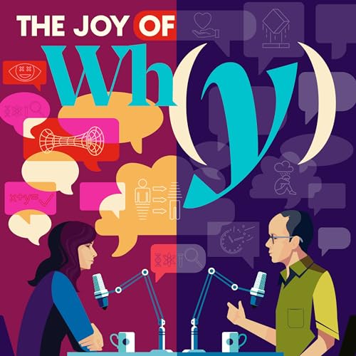 The Joy of Why Podcast By Steven Strogatz Janna Levin and Quanta Magazine cover art