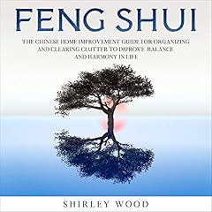 Feng Shui cover art