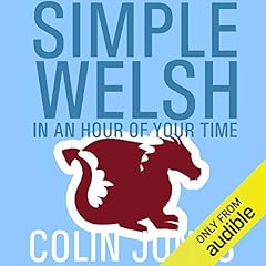 Simple Welsh in an Hour of Your Time cover art