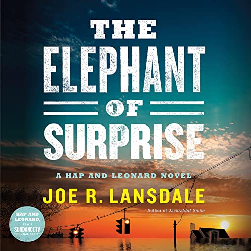 The Elephant of Surprise cover art