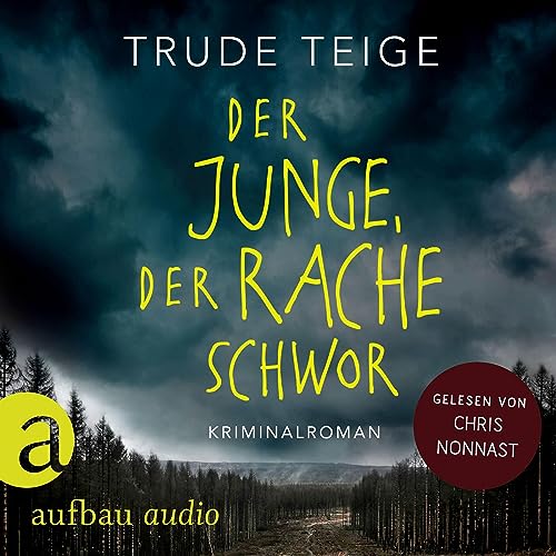 Der Junge, der Rache schwor cover art