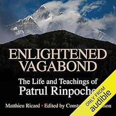 Enlightened Vagabond Titelbild