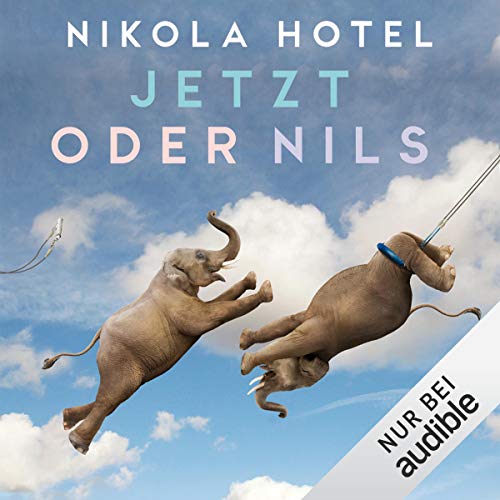 Jetzt oder Nils cover art