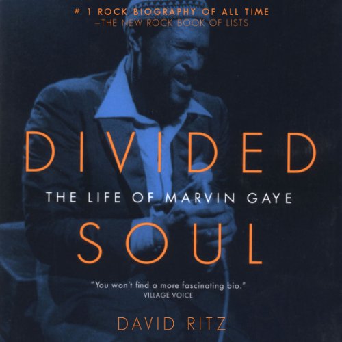 Divided Soul cover art