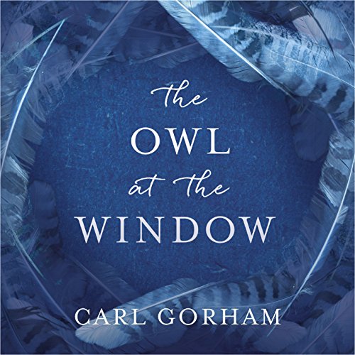 The Owl at the Window cover art