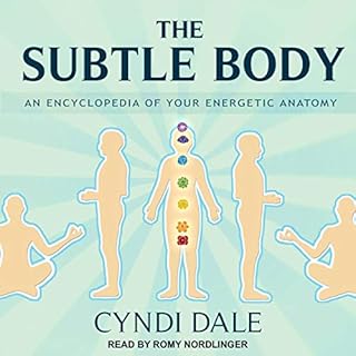 The Subtle Body Audiobook By Cyndi Dale cover art