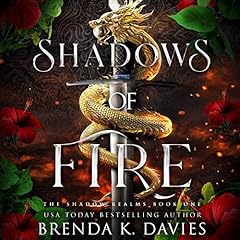 Shadows of Fire Audiolibro Por Brenda K. Davies arte de portada