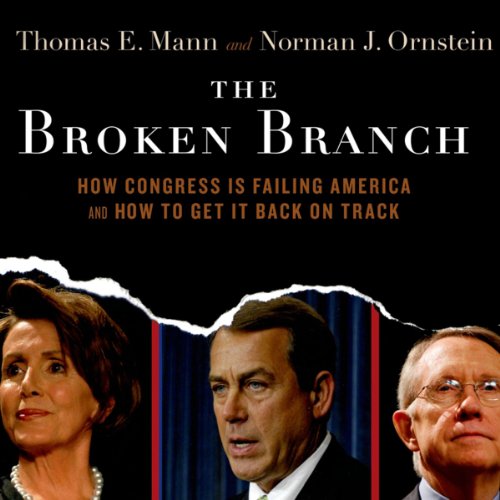 The Broken Branch cover art