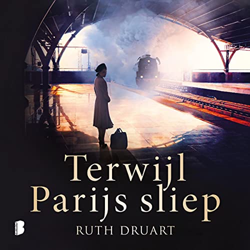 Terwijl Parijs sliep Audiobook By Ruth Druart cover art