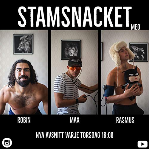 STAMSNACKET cover art