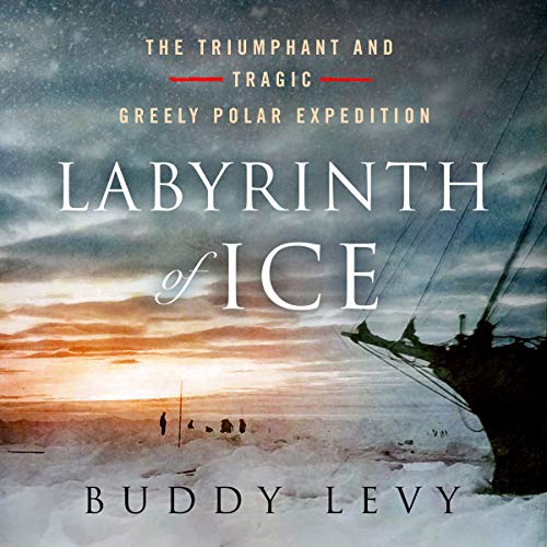 Labyrinth of Ice cover art