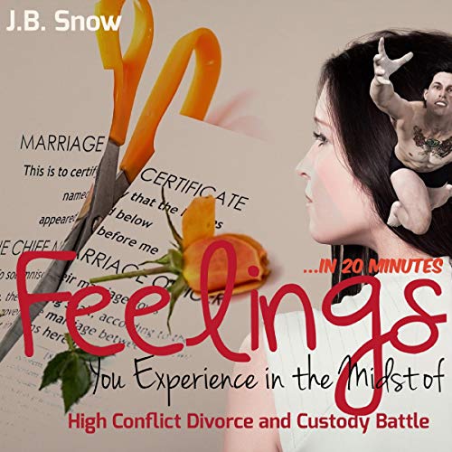 Feelings You Experience in the Midst of High Conflict Divorce and Custody Battle - in 20 Minutes cover art