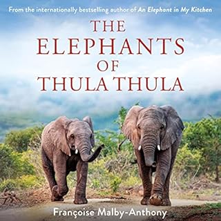 The Elephants of Thula Thula Audiolibro Por Françoise Malby-Anthony arte de portada