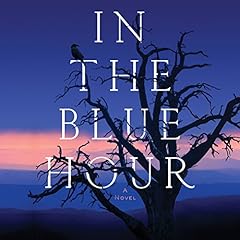 In the Blue Hour cover art