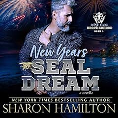 New Years SEAL Dream cover art