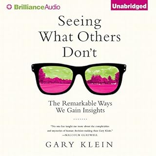 Seeing What Others Don't Audiobook By Gary Klein cover art