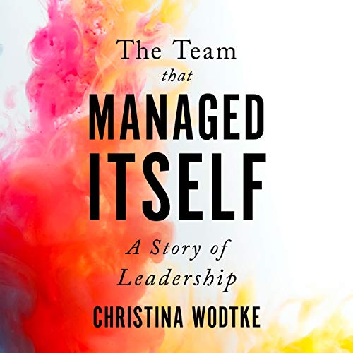 The Team That Managed Itself: A Story of Leadership cover art