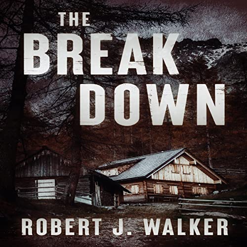 Couverture de The Break Down