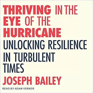 Thriving in the Eye of the Hurricane Audiobook By Joseph Bailey, Michael Neill - foreword cover art