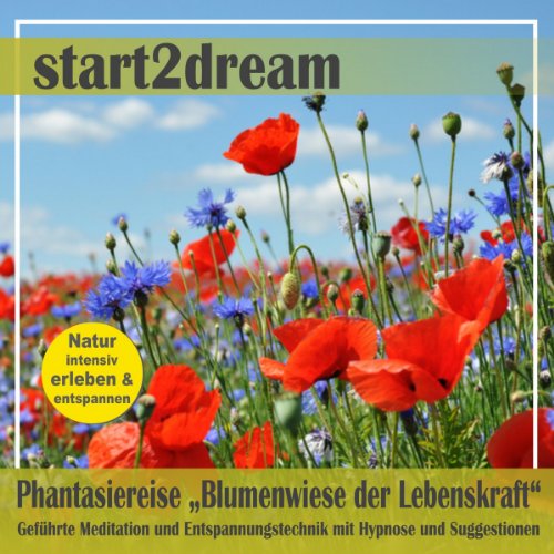 Blumenwiese der Lebenskraft Titelbild