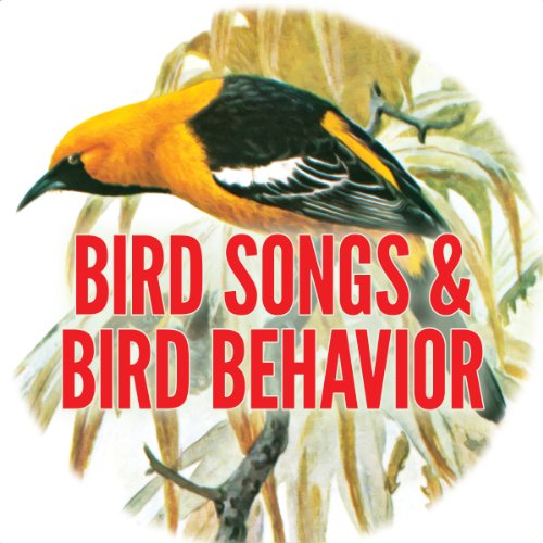 Bird Song and Behavior cover art