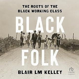 Black Folk Audiobook By Blair L.M. Kelley cover art