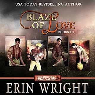 Blaze of Love Audiobook By Erin Wright cover art