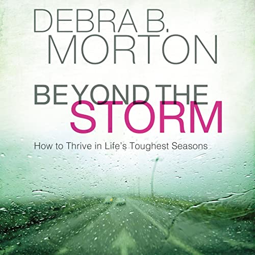 Beyond the Storm cover art