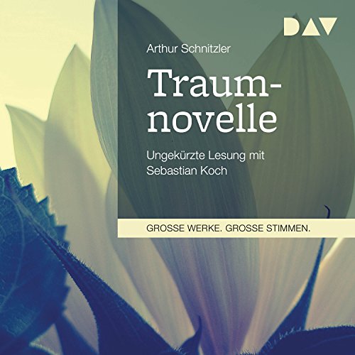 Traumnovelle cover art