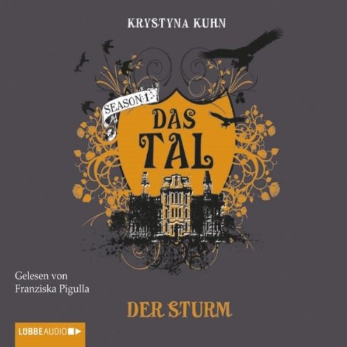 Der Sturm Audiolibro Por Krystyna Kuhn arte de portada