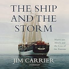 The Ship and the Storm cover art