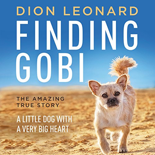 Finding Gobi cover art