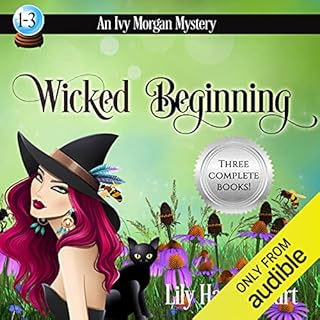 Wicked Beginning Audiolibro Por Lily Harper Hart arte de portada